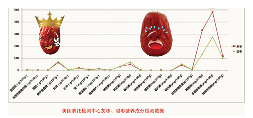 灰枣和骏枣营养PK